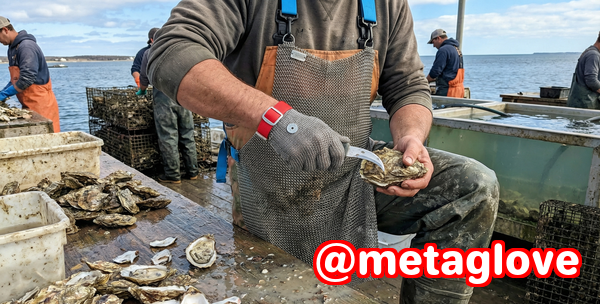 The Durability of Ring Mesh and Chainmail in Harsh Environments The Durability of Ring Mesh and Chainmail in Harsh Environments